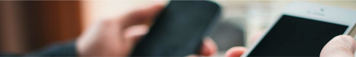 header-contact